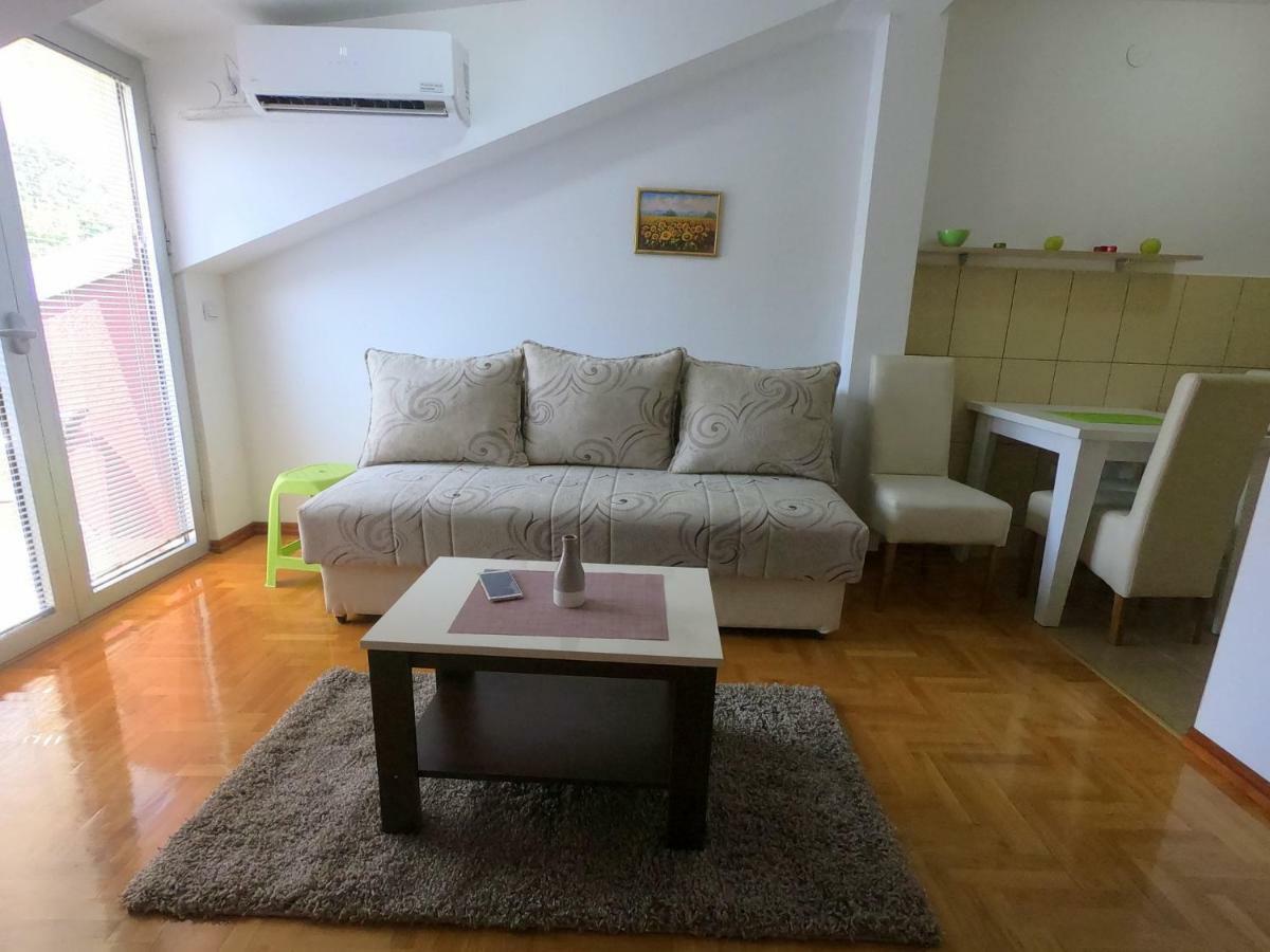 Apartman Zenit Vrnjačka Banja Εξωτερικό φωτογραφία