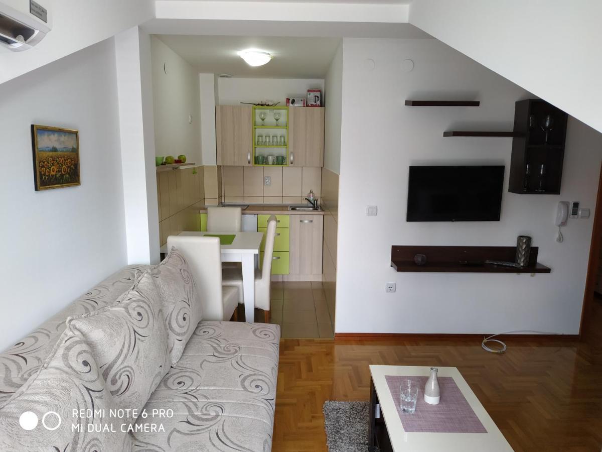 Apartman Zenit Vrnjačka Banja Εξωτερικό φωτογραφία